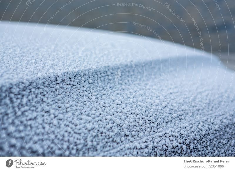 frost Weather Ice Frost Blue Gray White Car Frozen Cold Exterior shot Snow Freeze Line Car Hood Colour photo Detail Deserted Copy Space left Copy Space right