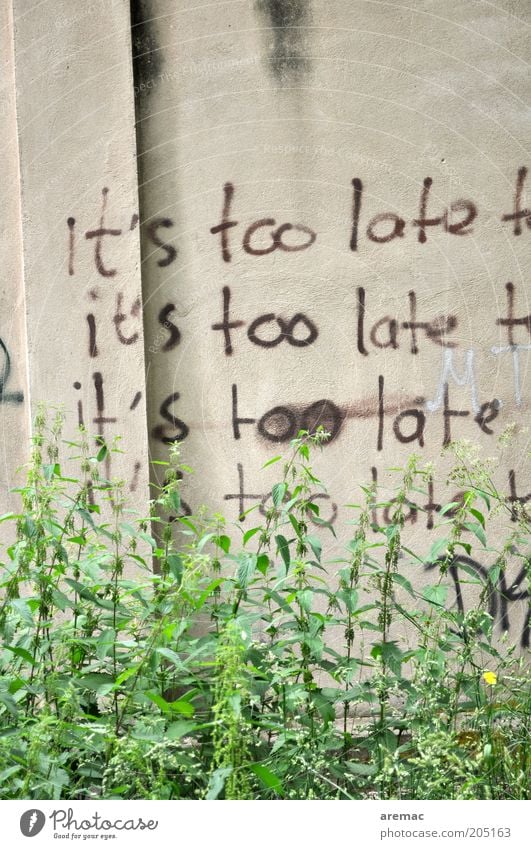 All too late Plant Foliage plant Wall (barrier) Wall (building) Concrete Sign Characters Moody Disappointment Frustration Embitterment Apocalyptic sentiment