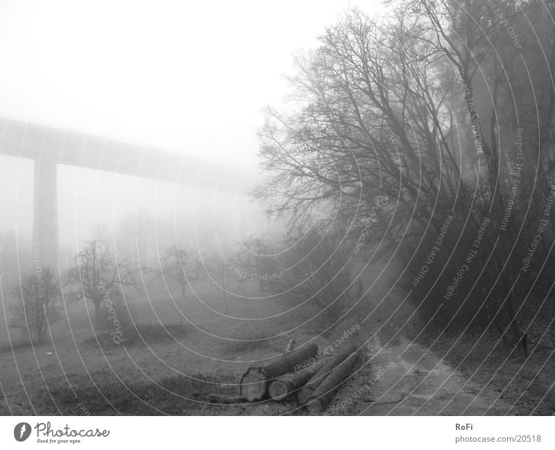 Autumn morning in grey Fog Gray Morning fog Tree Bushes Footpath Mountain Black & white photo Bridge viaduct