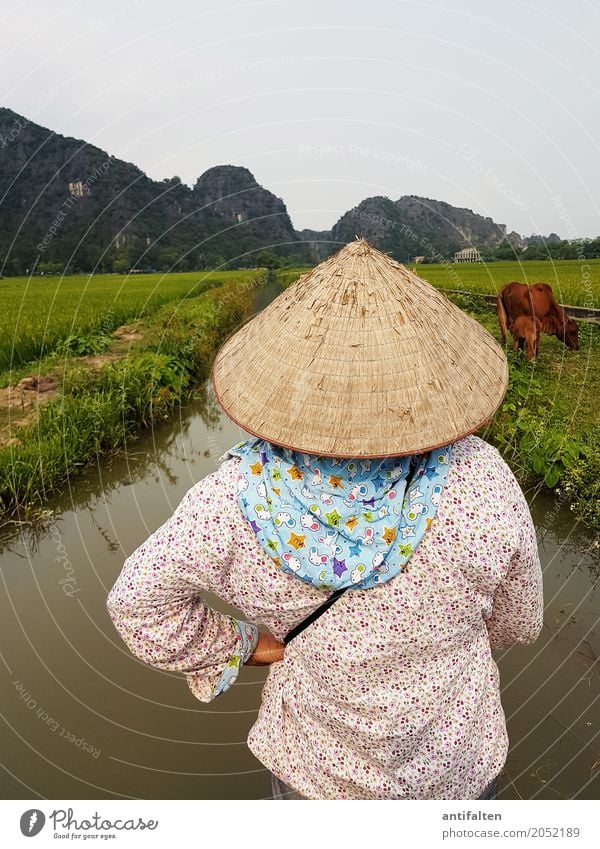 conical cap Vacation & Travel Tourism Trip Adventure Far-off places Freedom Sightseeing Work and employment Rice farmer Agriculture Forestry Feminine Woman
