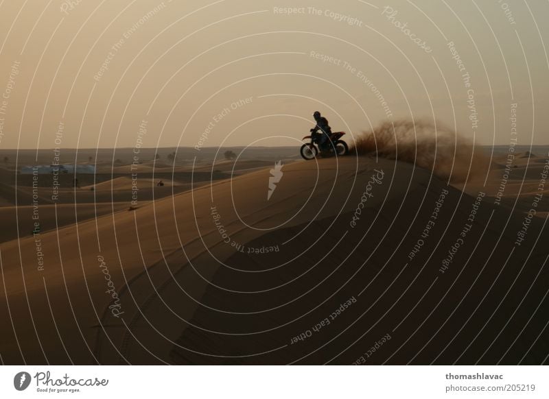 Motorcycle on sand dune Vacation & Travel Trip Adventure Motorsports Ride 1 Human being Environment Landscape Sand Sunrise Sunset Beautiful weather Desert