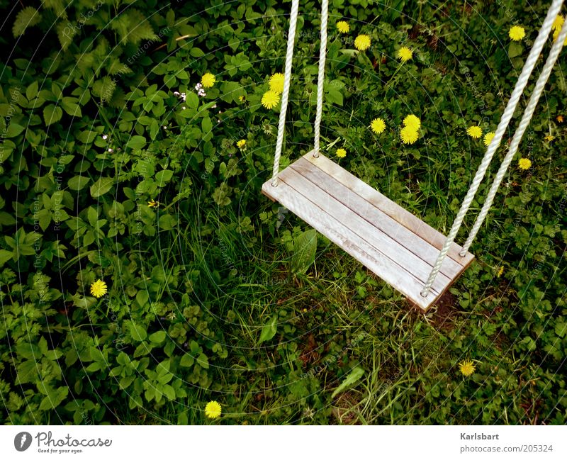 I'm dangling between dandelions. Summer Nature Plant Grass Blossom Dandelion Playground Natural Calm Stagnating Swing Colour photo Multicoloured Exterior shot