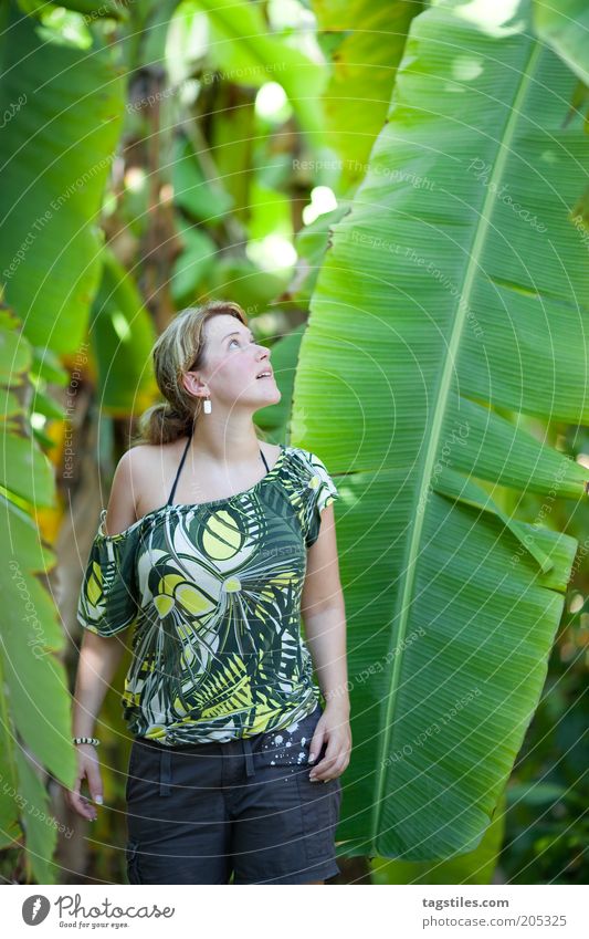 SIZE MATTERS AGAIN Size Large Banana Herbaceous plants Banana tree Leaf Woman Marvel Complain Size comparison Looking Colour photo Green Maldives Plant