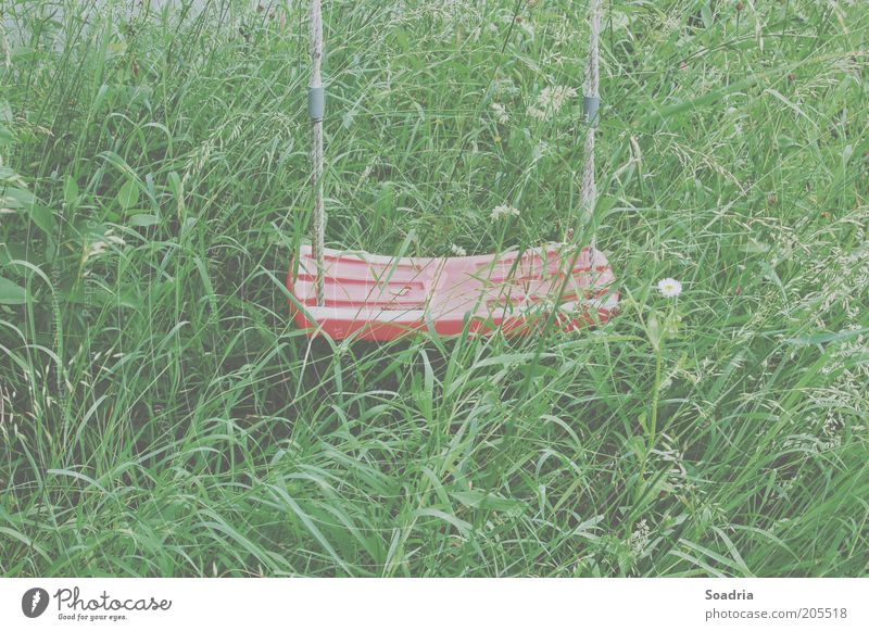 Out of sight, out of mind. Nature Grass Meadow Swing Leisure and hobbies Environment Colour photo Exterior shot Deserted Day Blur Plastic Empty