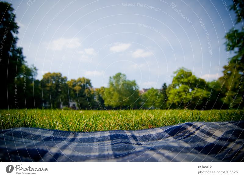 Picnic in the countryside Relaxation Calm Leisure and hobbies Freedom Summer vacation Garden Nature Sky Park Meadow Lie Green Contentment Break Blanket