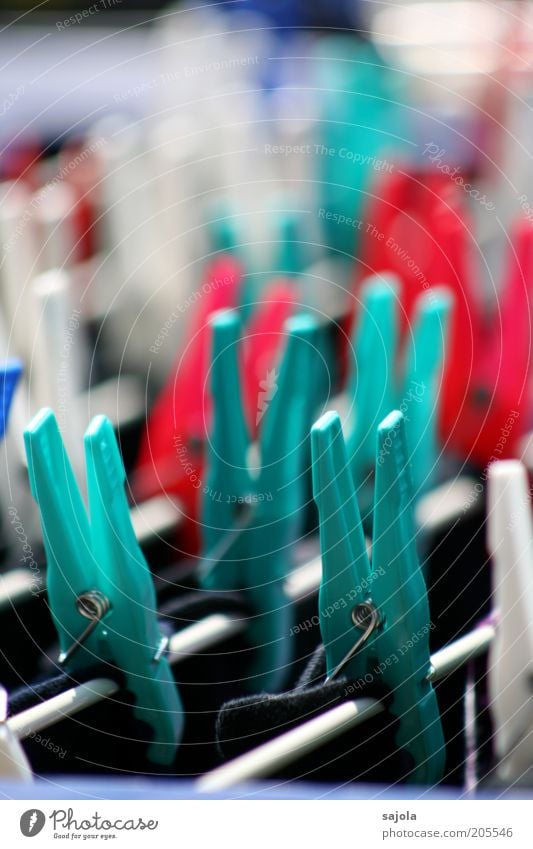 washing day To hold on Hang Blue Green Red White Laundry Clothesline Clothes peg Dry Light Photos of everyday life Washing day Colour photo Exterior shot