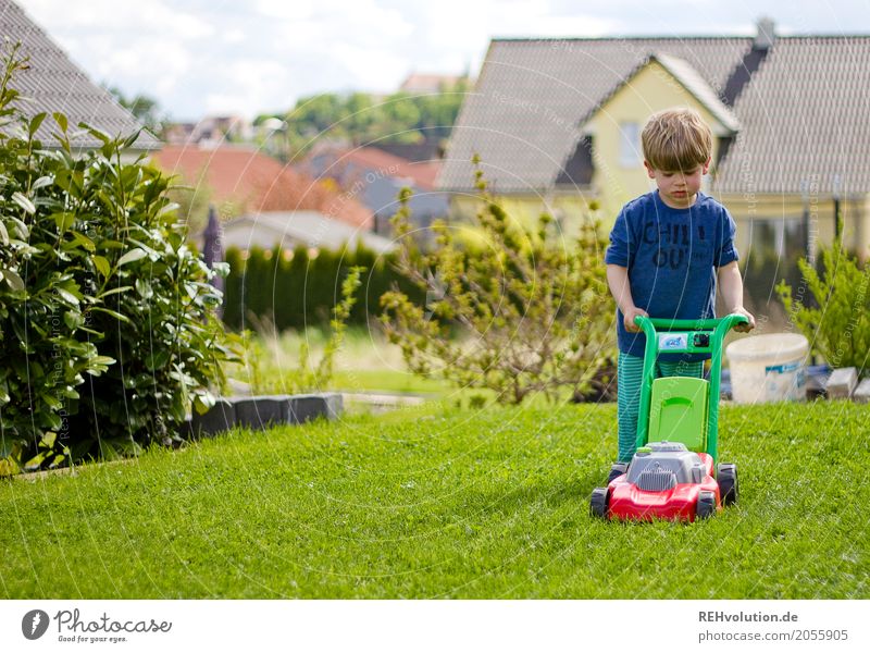 summer 2017 - lawn mowing Living or residing Parenting Study Work and employment Gardening Human being Child Toddler Boy (child) Infancy 1 - 3 years Grass
