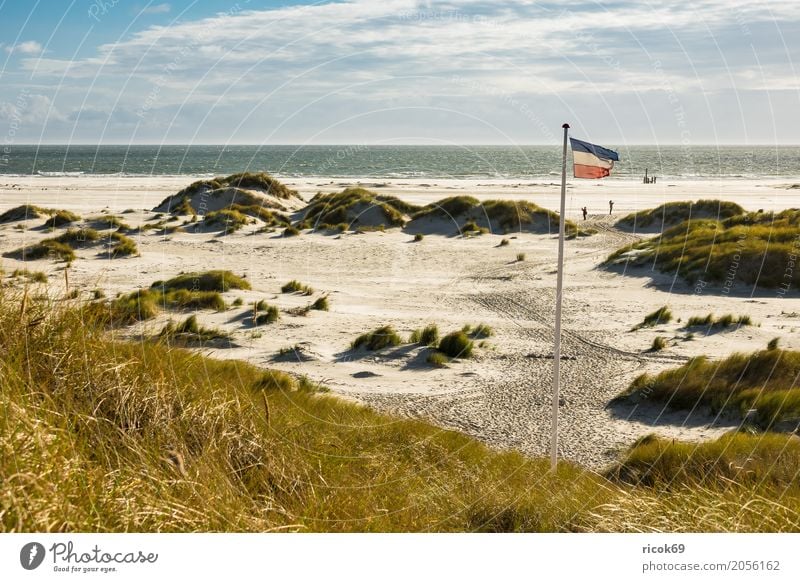 Landscape in the dunes on the island of Amrum Relaxation Vacation & Travel Tourism Beach Ocean Island Nature Sand Clouds Autumn Coast North Sea Flag Blue Yellow