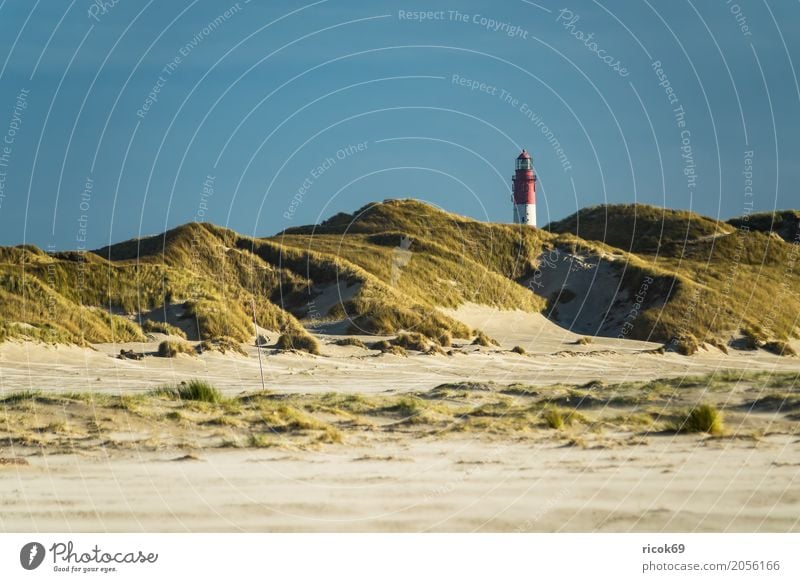 Landscape in the dunes on the island of Amrum Relaxation Vacation & Travel Tourism Island Nature Clouds Autumn Coast North Sea Lighthouse Tourist Attraction