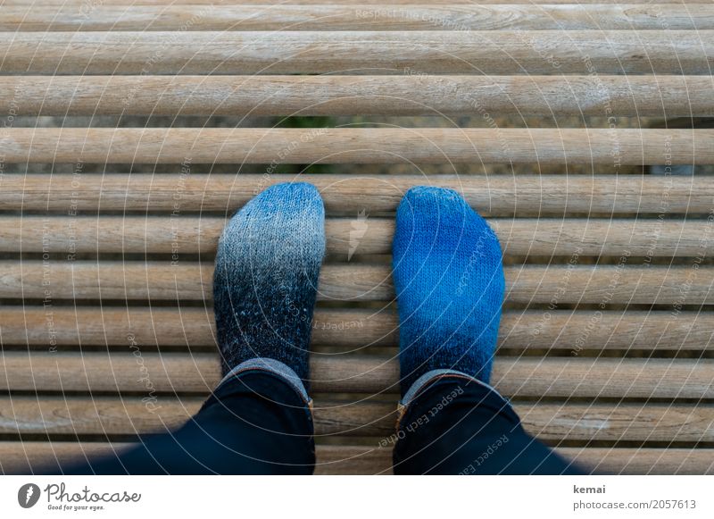 Thanks to photocase this: favourite socks Style Living or residing Bench Feet 1 Human being Fashion Clothing Jeans Stockings Accessory Wool socks Wood