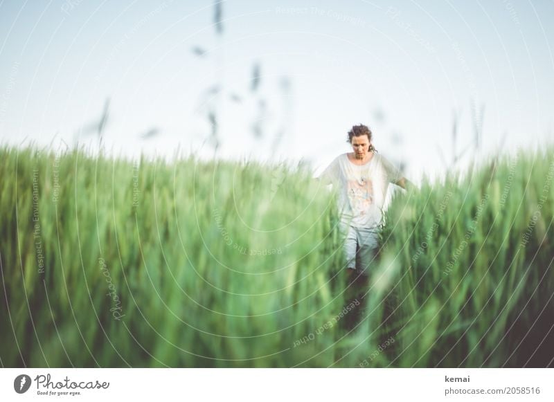 Woman in a green cornfield Lifestyle Wellness Harmonious Well-being Contentment Senses Relaxation Calm Leisure and hobbies Trip Adventure Freedom Expedition