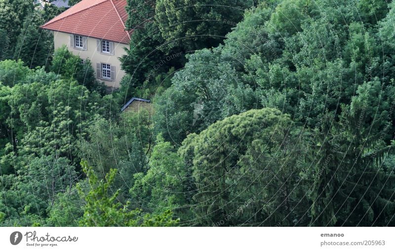 treecastle Vacation & Travel Trip Summer Environment Nature Landscape Tree Forest Freiburg im Breisgau Outskirts House (Residential Structure) Detached house