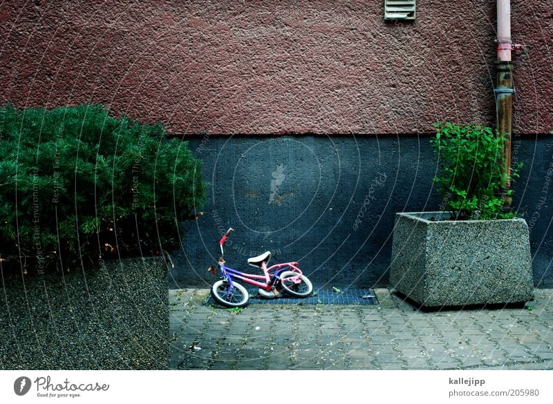 break Bicycle Plant Bushes Wall (barrier) Wall (building) Empty Time Colour photo Exterior shot Deserted Contrast Infancy Window box Kiddy bike Doomed Forget