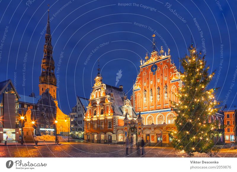 Christmas tree on town hall square in Riga Vacation & Travel Tourism Winter House (Residential Structure) Decoration Christmas & Advent Tree Baltic Sea Town