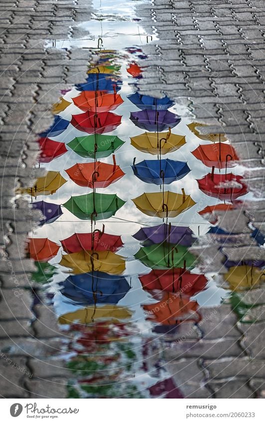 Umbrellas reflection in a puddle Vacation & Travel Tourism Mirror Culture Landscape Rain Timisoara Romania Town Building Architecture Street Historic artistic