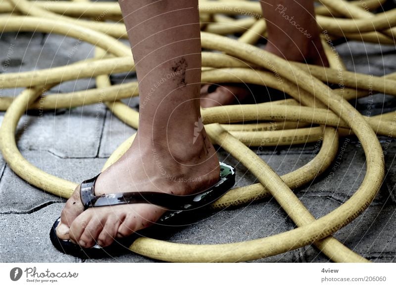I'm on the hose. Legs Feet 1 Human being Summer Flip-flops Stone Dirty Hot Wet Yellow Contentment Subdued colour Exterior shot 8 - 13 years Tread Garden hose