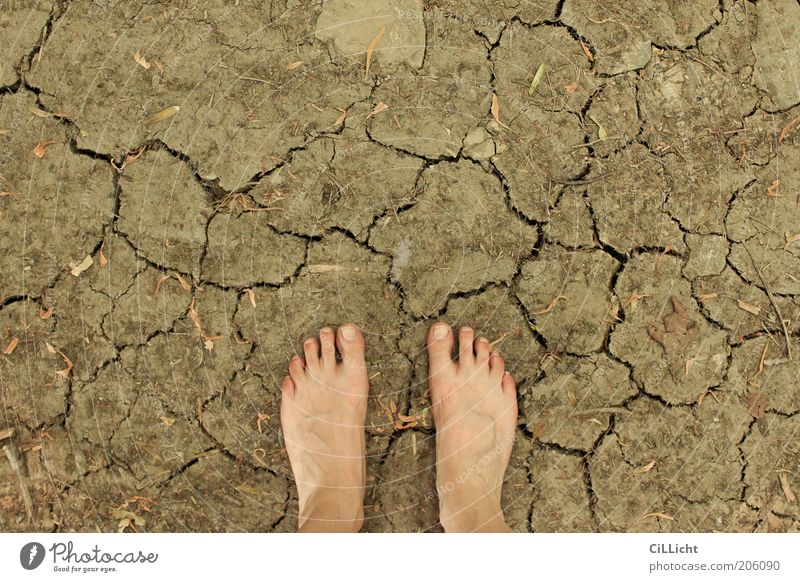 summer soil Summer Skin Feet 1 Human being Environment Nature Elements Earth Climate Climate change Warmth Drought Footprint Touch Discover Going To dry up