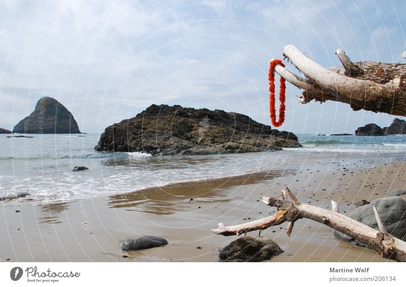 Oregon Coast Vacation & Travel Trip Freedom Summer Beach Ocean Nature Pacific Ocean USA North America Far-off places Wood Tree trunk Tree stump Necklace Red
