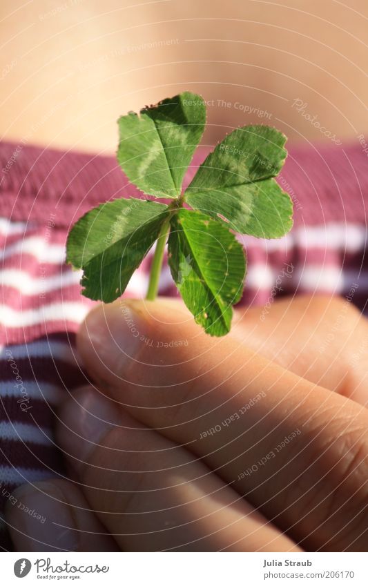 you can give luck away Human being Feminine Skin Fingers 1 Summer Beautiful weather Grass Leaf Foliage plant T-shirt Happiness Happy Green Violet White