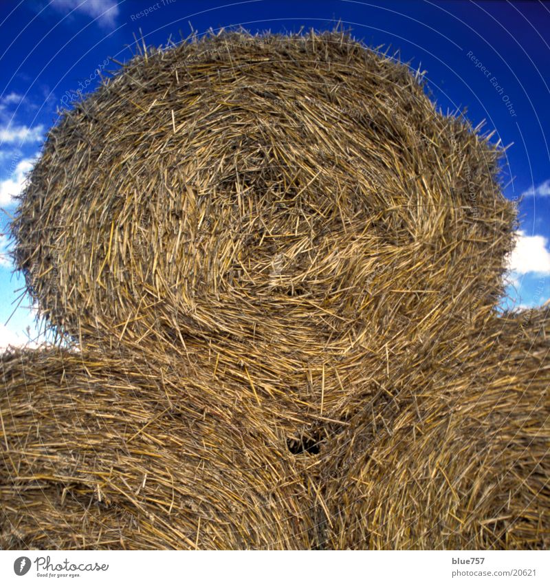 North East 3 Bale of straw Autumn Yellow White Sky Clouds Things To fall Blue Gold cloud