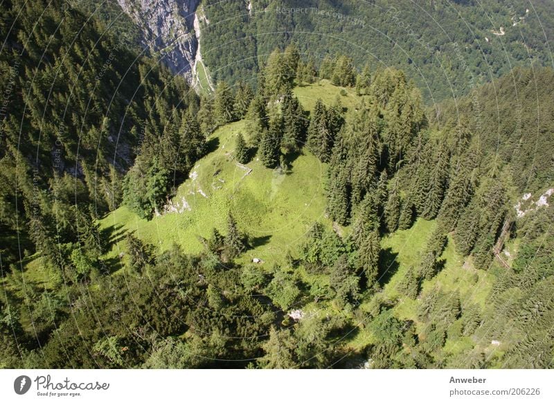 Afraid of heights? Environment Nature Landscape Plant Earth Summer Beautiful weather Tree Forest Alps Mountain Zugspitze Wetterstein hell valley Canyon Bavaria