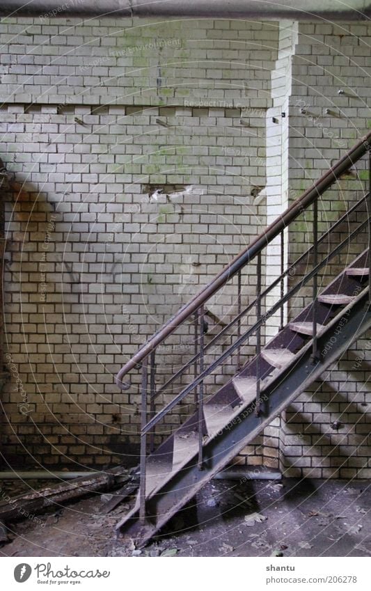 Stairs in an old basement Factory Industry Wall (barrier) Wall (building) Build Old Colour photo Interior shot Deserted Copy Space left Copy Space top Day