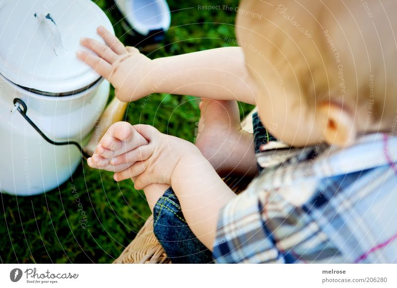Young farmer ? Child Baby Boy (child) Fingers Feet 1 Human being 0 - 12 months Summer Garden Discover To hold on Sit Happy Small Curiosity Life Interest