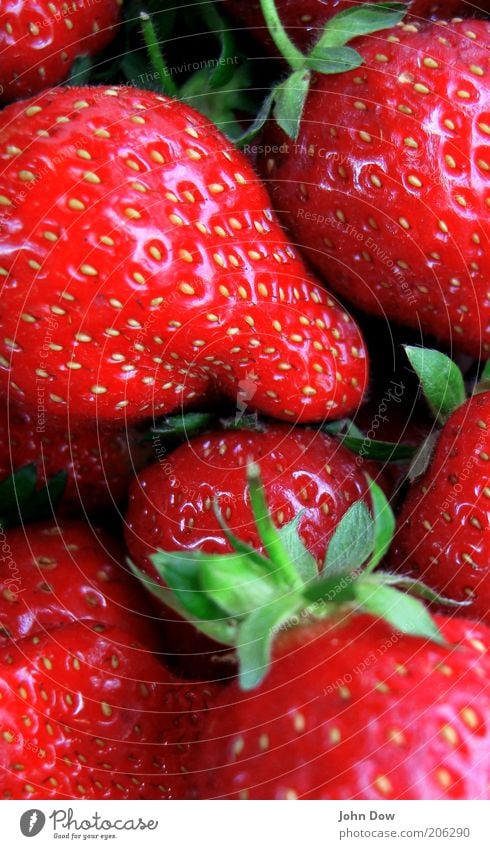 Fruchtala-a-a-a-a-a-a-a-a-rm Food Fruit Nutrition Plant Delicious Juicy Sweet Red Healthy Fruity Strawberry Complementary colour Alluring Detail