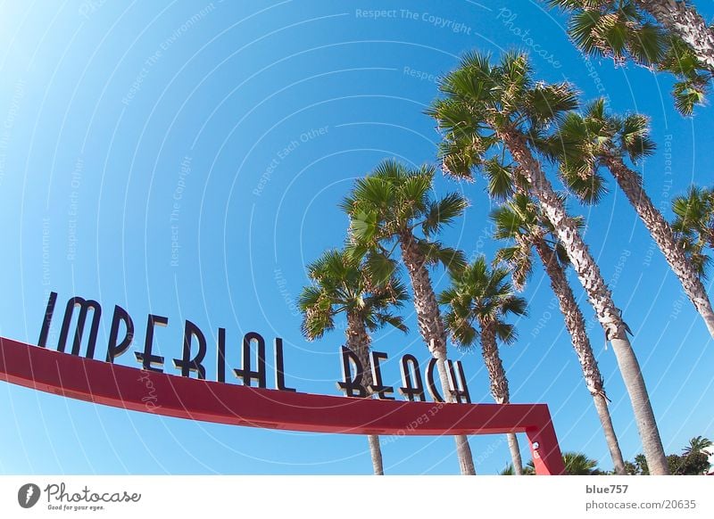 Imperial Beach California Palm tree Letters (alphabet) Red Green Fisheye Wide angle Leisure and hobbies USA Characters Sky Beautiful weather Blue
