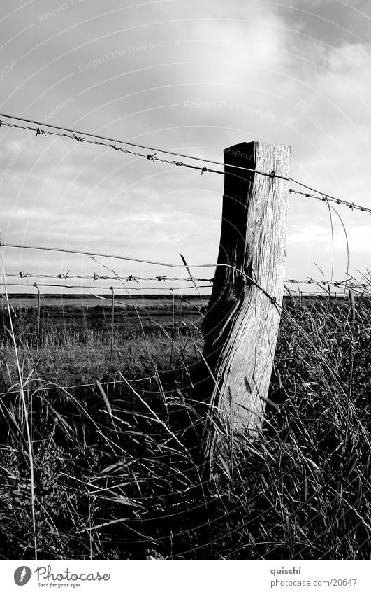 lowlands Fence Field Wood Landscape Black & white photo Pole