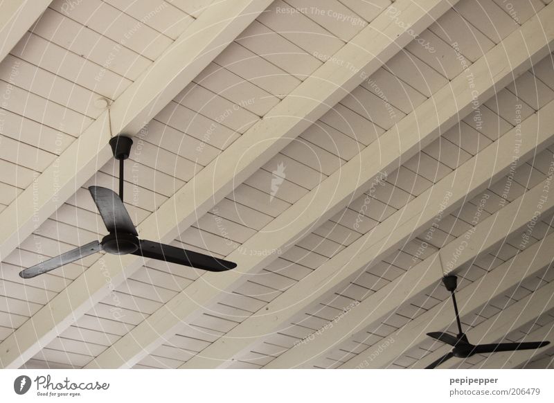 wind turbines Calm Wood Fan Colour photo Interior shot Deserted Roof beams Refrigeration