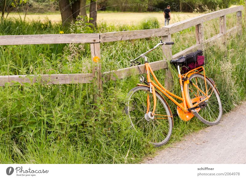 Left behind 1 Human being Environment Nature Landscape Plant Summer Tree Grass Bushes Meadow Field Forest Bicycle Orange Trip Wheel Cycling Break Lean