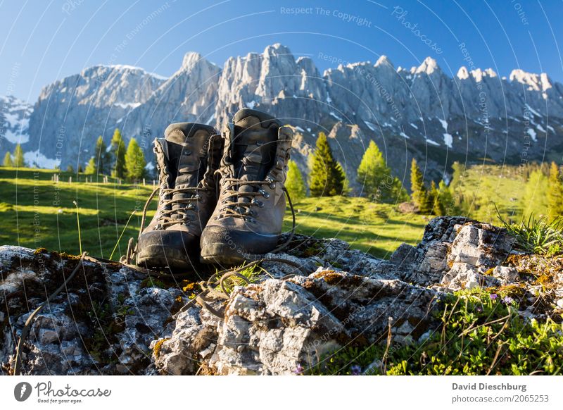 on the mountain Vacation & Travel Tourism Trip Adventure Expedition Summer vacation Mountain Hiking Nature Landscape Cloudless sky Spring Beautiful weather