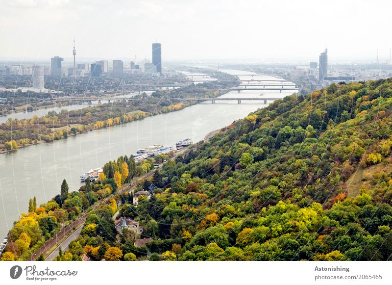 on the Danube Environment Nature Landscape Plant Water Sky Horizon Spring Weather Tree Forest River bank Island Danube Island Vienna Austria Town Capital city