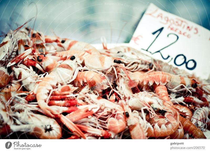 Lagostins - today only 12 € Food Seafood king prawns Crawfish Shrimps Lobster Crustacean Claw gambas Nutrition Portuguese cuisine Fresh Appetite Protein