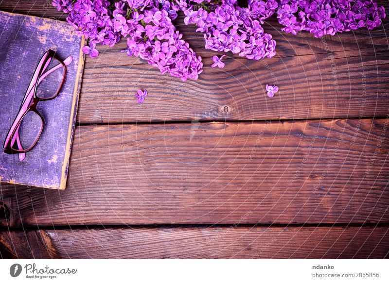 purple lilac and an old book with glasses Book Flower Blossom Paper Wood Old Above Retro Brown Violet cover Lilac background vintage Purple knowledge board