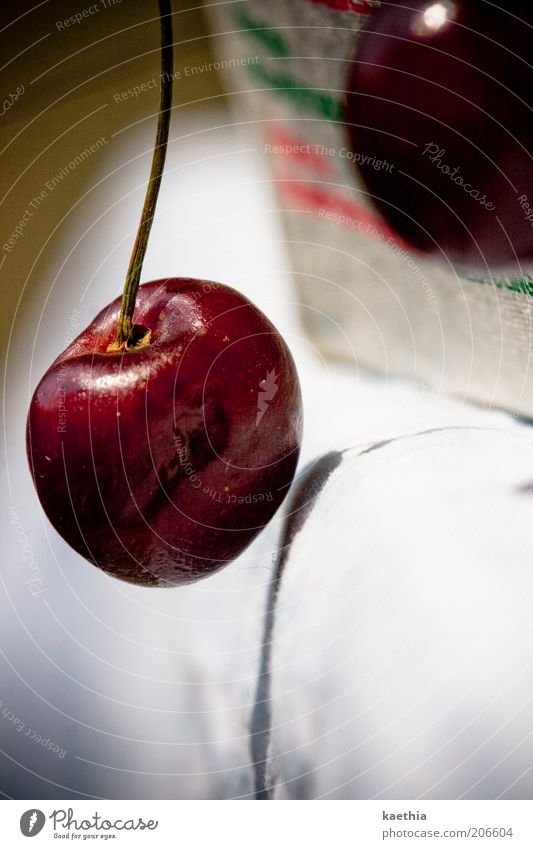 somersault Food Fruit Cherry Nutrition Vegetarian diet Hang Red Stalk Shadow Macro (Extreme close-up) Colour photo Exterior shot Day Central perspective Fresh