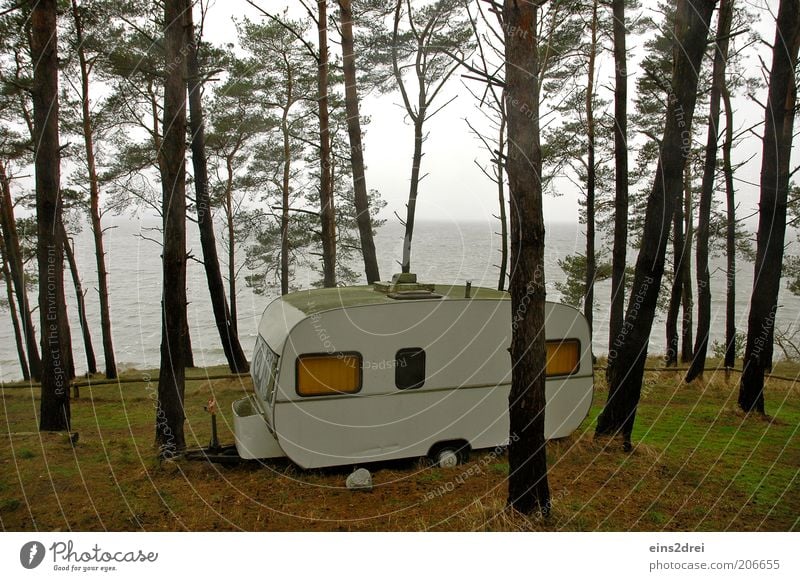 forest campers Leisure and hobbies Vacation & Travel Far-off places Freedom Camping Ocean Room Retirement Nature Landscape Plant Earth Sky Horizon Autumn