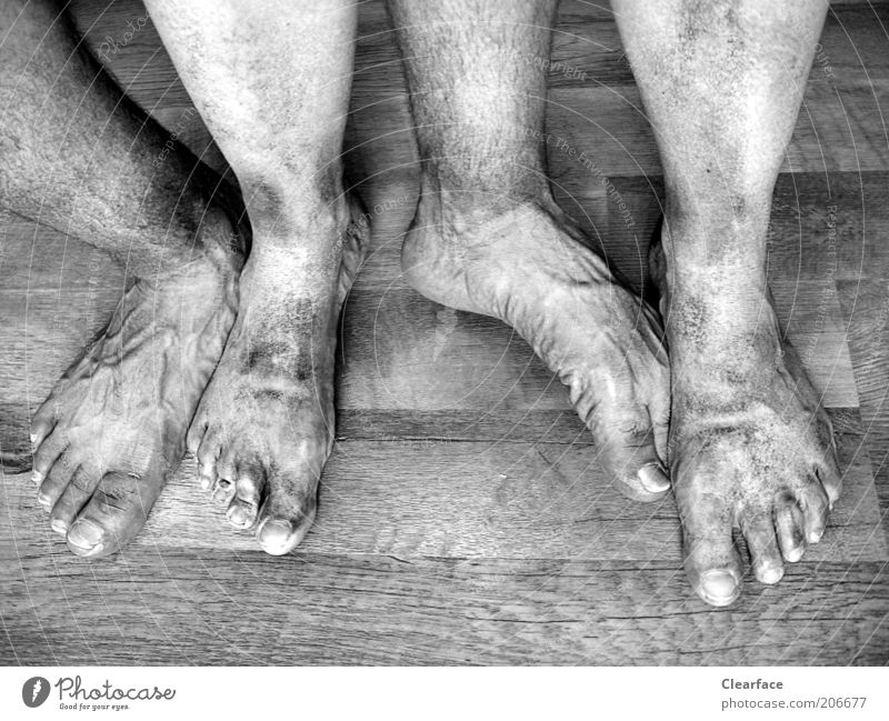 quadruped Human being Couple Feet Wood Authentic Disgust Cleanliness Whimsical Team Barefoot Black & white photo Interior shot Dirty Wooden floor Men`s feet 4