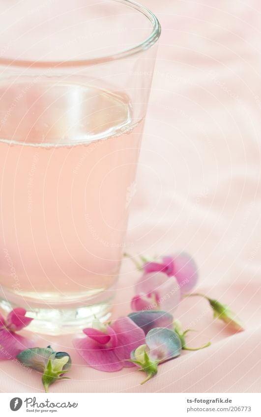 Rhubarb juice on Hawai Beverage Drinking Cold drink Lemonade Juice rhubarb juice Refreshment Thirst Thirst-quencher Glass Summer Flower Blossom Exotic Sweet pea