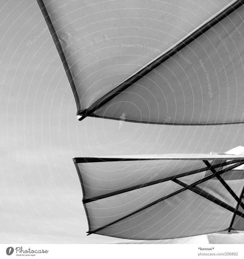 shade provider Design Cloudless sky Sunlight Summer Beautiful weather Relaxation Sharp-edged Black White Contentment Protection Sunshade Umbrellas & Shades