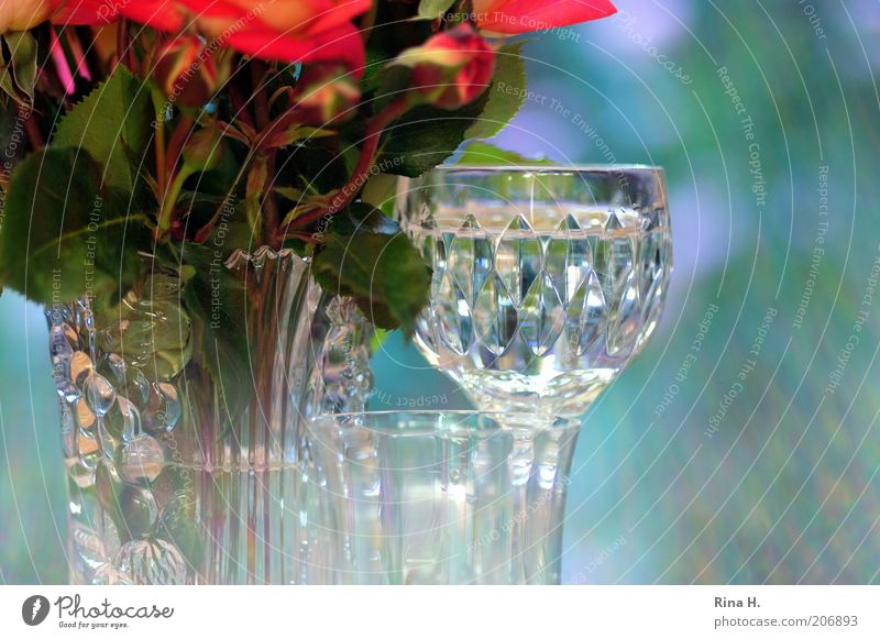 Silence against the light Cold drink Glass Style Rose Esthetic Positive Blue Green Red Moody Joie de vivre (Vitality) Water Still Life Vase Colour photo