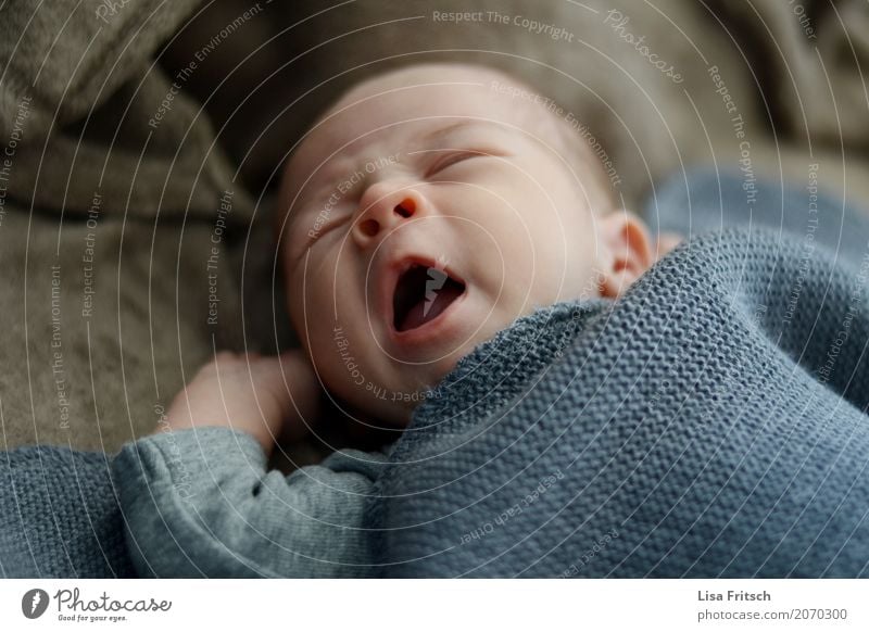 tired Masculine Baby 1 Human being 0 - 12 months Sleep Natural Safety Safety (feeling of) Pure Dream Yawn Closed eyes