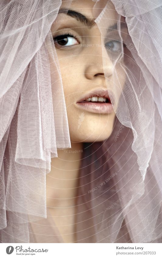 spooky tuesday Style Beautiful Wedding Human being Feminine Young woman Youth (Young adults) Life Face 1 Tulle Vail Observe Looking Esthetic Exceptional Pink