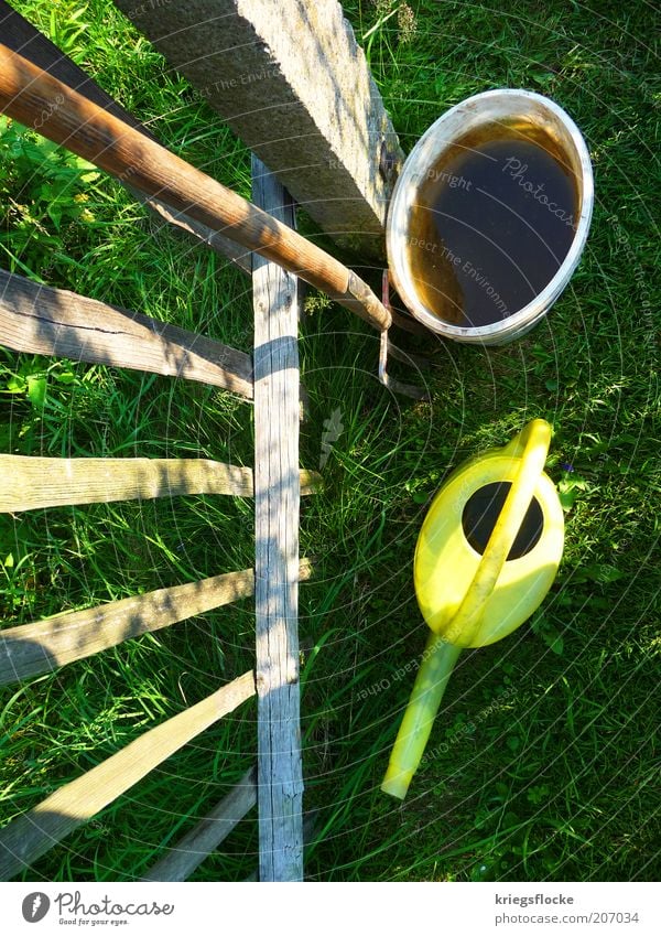 It's so green... Plant Water Summer Beautiful weather Grass Work and employment Gardening Watering can Yellow Green Bucket spade Fence garden tool Wood