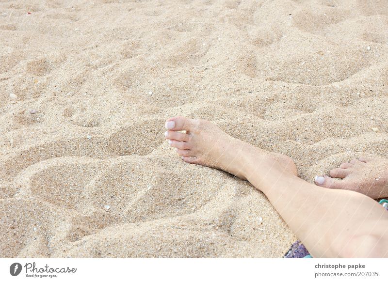 Pure Summer Feeling Well-being Contentment Relaxation Vacation & Travel Tourism Summer vacation Sunbathing Beach Young woman Youth (Young adults) Feet Sand Lie