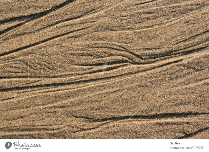 Sand with traces Earth Lake Beach Colour photo Exterior shot Light Shadow Contrast Structures and shapes Beige Undulating Background picture Neutral Background