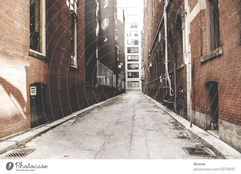 Thanks to Photocase this: Finally out of the corner! Here is a narrow street in Toronto. Town Old town Deserted House (Residential Structure) Facade Street