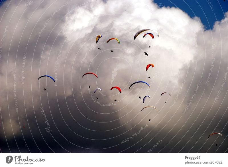 Like the lemmings. Leisure and hobbies Vacation & Travel Summer Sports Group Sky Clouds Storm clouds Weather Beautiful weather Warmth Aviation Aircraft Flying