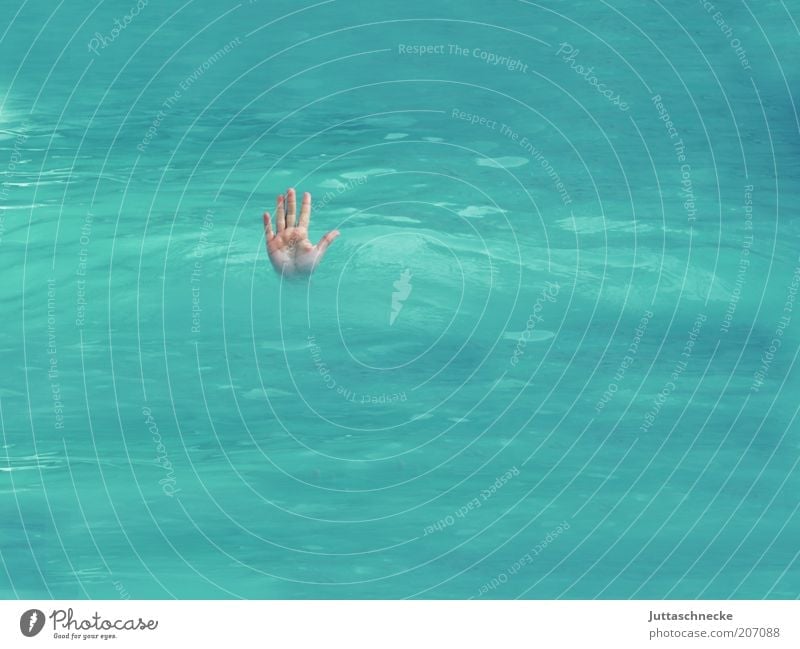 Stop, no passage! Dive Swimming pool Hand Fingers Blue Watchfulness Fear of death End Survive Drown Go under Stick out Palm of the hand Wet Deep Colour photo